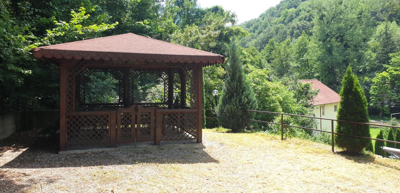 Vila Tisa Tismana Esterno foto